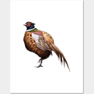 Cute Pheasant Drawing Posters and Art